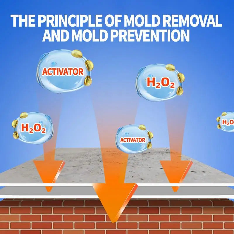 Highly Effective Lanwexy Mould Removal Spray