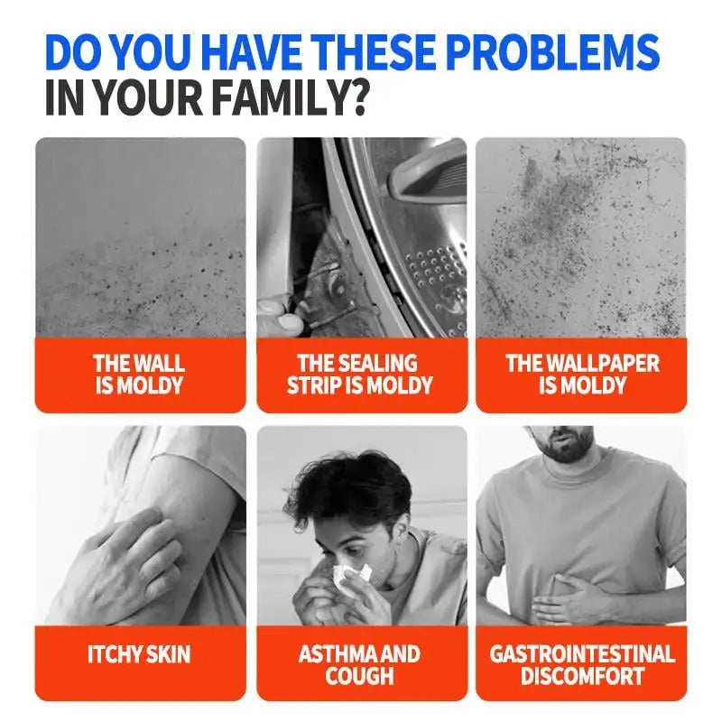 Highly Effective Lanwexy Mould Removal Spray