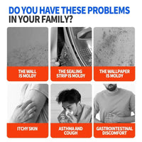 Highly Effective Lanwexy Mould Removal Spray