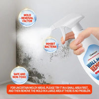 Highly Effective Lanwexy Mould Removal Spray